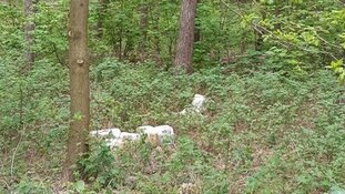 Politie zoekt getuigen van dumpen vaten met vermoedelijk drugsafval