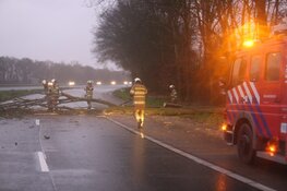 Zondagse storm Ciara houdt Nederland in greep (fotoalbum)
