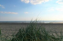 Teams Formule 1 toch niet over strand naar Zandvoort