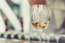 WijnSpijs Wandeling Den Haag