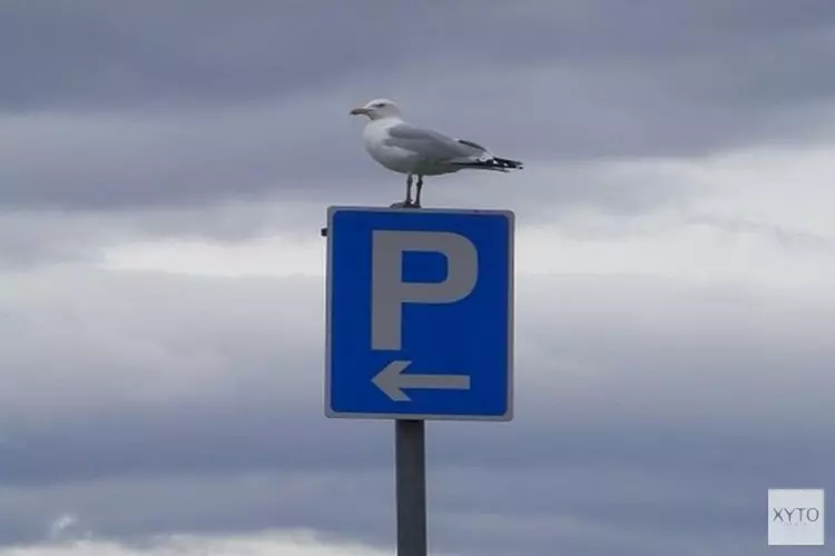 Parkeerterreinen met Pinksteren voor de helft geopend