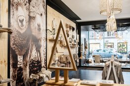 Pop-up Store Petit Kolibri, een stukje Peru in Den Haag
