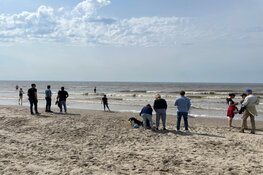Drukte op strand Noordwijk