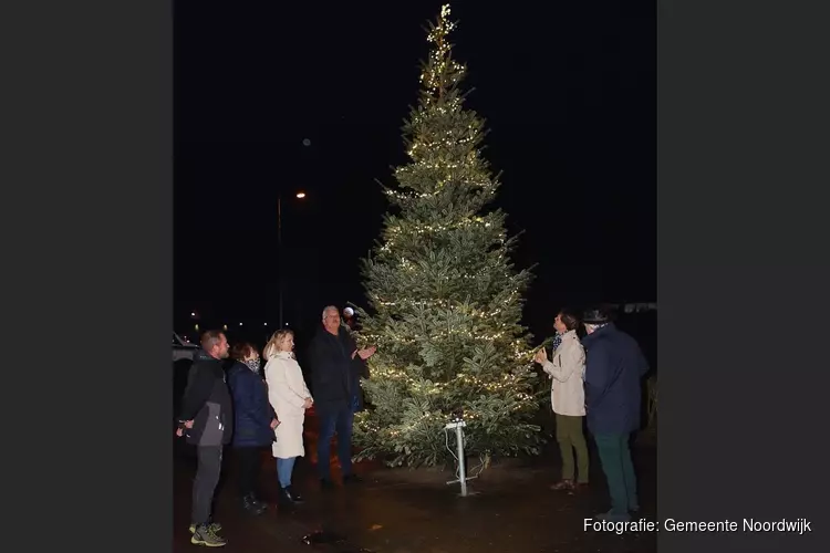 Kerstboom op terrein van De Schelft