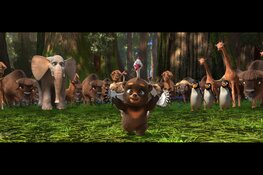 Herfstbioscoop in de Muze