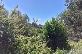 Provinciale subsidie voor onderhoud aan molens verruimd