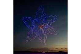 Slimme sierteelt bloeit op in de Duin- en Bollenstreek