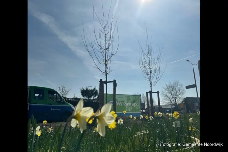 Extra bomen in De Zilk: 800-bomenproject in volle gang
