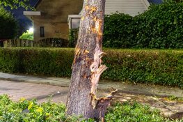 Auto crasht tegen boom in Noordwijkerhout, bestuurder zwaargewond