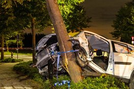Auto crasht tegen boom in Noordwijkerhout, bestuurder zwaargewond