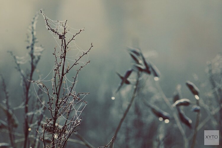 Wisselvallig weer tijdens laatste dagen van het jaar