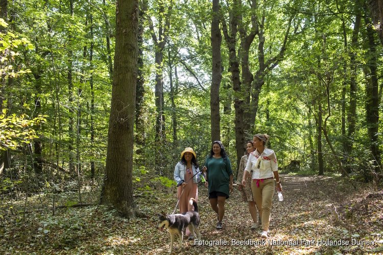 De natuur in? Zo ontdek je meer