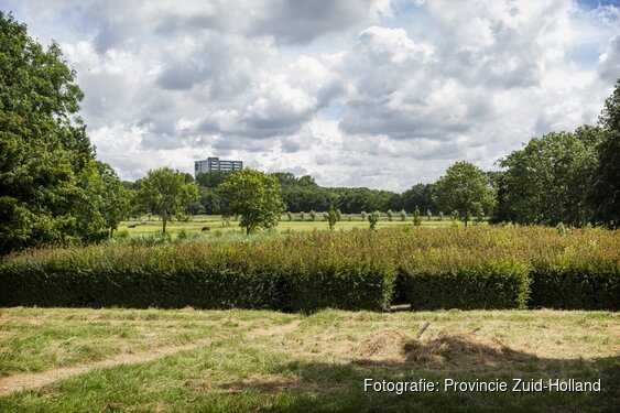 Provincie verdeelt € 52 miljoen onder Zuid-Hollandse recreatiegebieden voor beheer en onderhoud