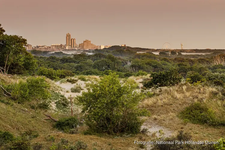 Officiële status nationaal park voor Hollandse Duinen