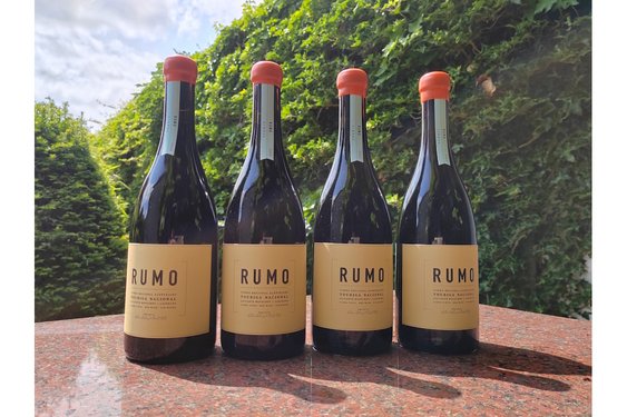 Wijn van de maand: Rumo Tinto 2023