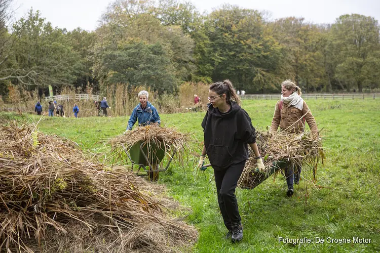 Natuurwerkdag zaterdag 7 november op Landgoed Nieuw Leeuwenhorst: samen werken aan natuur en erfgoed